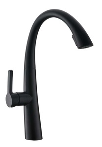 (TK-9956) Kitchen Sink Pull Out Tap