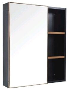 (DMB 671/672) Stainless Steel Mirror Cabinet (600 x 700mm)